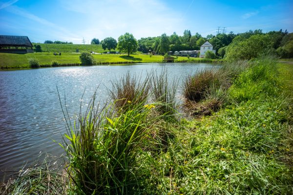 Domäne am See Am Simmersee (Simmern Hunsrück)